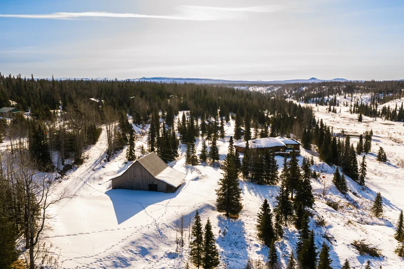 Kasilof Waterfront Remodel — Secluded Lakeside Cabin Wooded Acreage