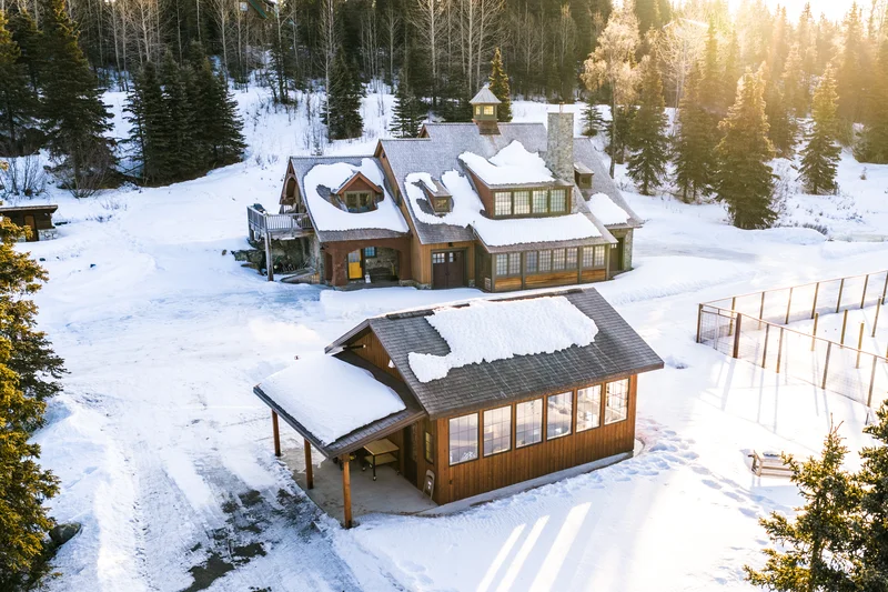 Sterling Timber Workshop — Winter Spruce Tree Canopy Aerial